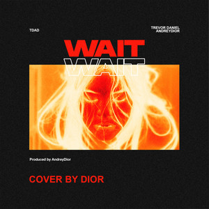 Wait (Explicit)