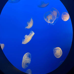 intentions (Explicit)