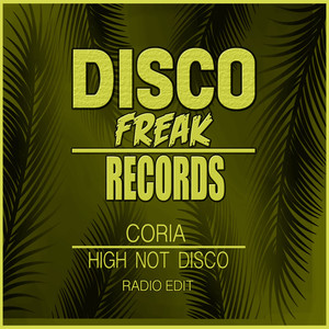 High Not Disco (Radio Edit)
