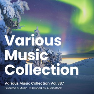 へい！らっしゃい