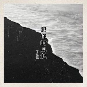 想你时风起封面