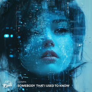 Somebody I Used To Know