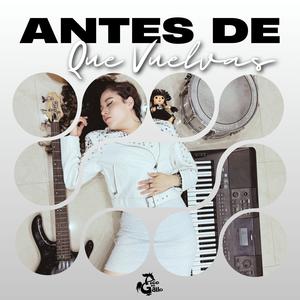 Antes De Que Vuelvas
