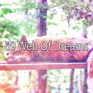 69 Web of Dreams