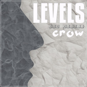 Levels (For Avicii)