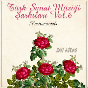 Türk Sanat Müziği Şarkıları, Vol. 6 (Instrumental)