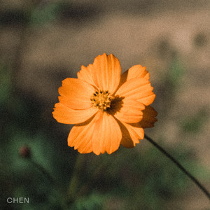 꽃잎이 지기 전에 (Before the Petals Fall) (Inst.)