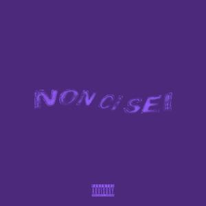 Non Ci Sei (feat. NMP Finesse) (Explicit)