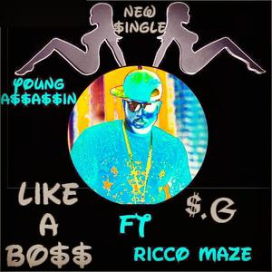 Like a Boss (feat. Ricco Maze) [Explicit]