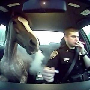 bback$eat (Explicit)