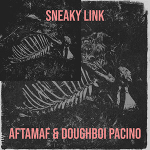 Sneaky Link (Explicit)