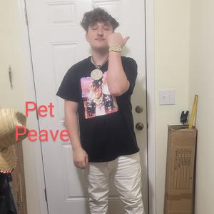 PET PEAVE O.V beat by HEATBOY (Explicit)