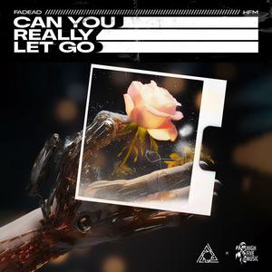 Can You Really Let Go (Extended Mix)