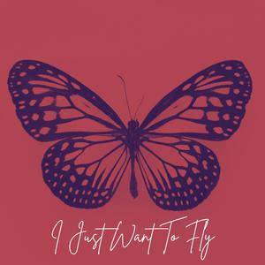 I Just Want To Fly