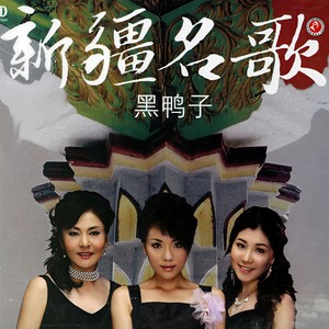 半个月亮爬上来封面
