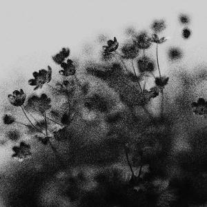 lmk (feat. kill kanji) (Explicit)