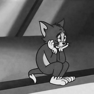 盐 酸 帕 罗 西 汀