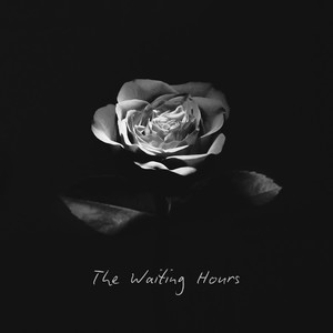 The Waiting Hours