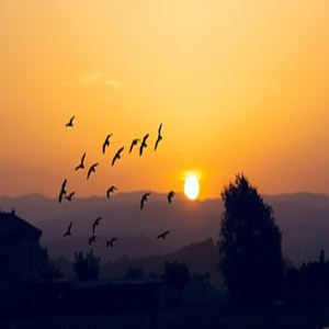 Sunrise