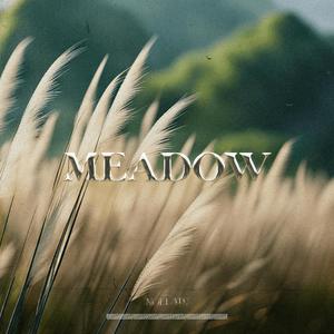MEADOW