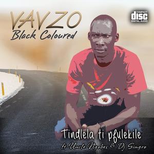 Tindlela ti pfulekili (feat. Uncle Ngobes & DJ Singro)