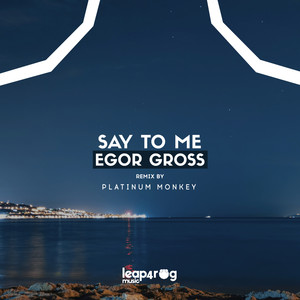 Say To Me (Platinum Monkey Remix)