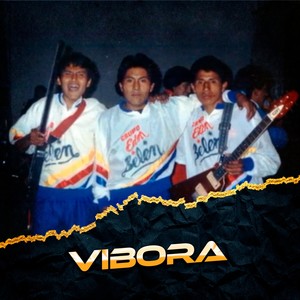 Vibora