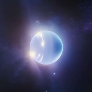 Starboy (feat. KADDY) (Explicit)