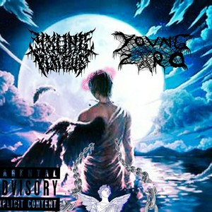 Falling Down(feat. Y0VNG ZXR0) (Explicit)