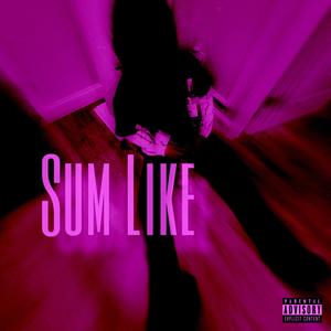 Sum Like (Explicit)