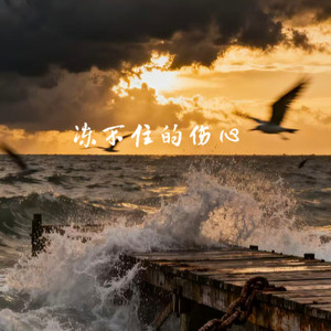 冻不住的伤心 (伤感女声版)