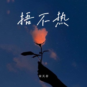 捂不热 (DJ德朋版)