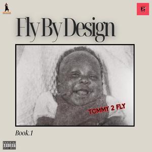 Fly By Design Book 1 (Explicit)