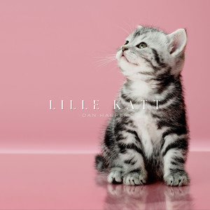 Lille Katt