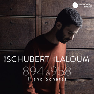 Schubert: Sonatas D. 894 & D. 958