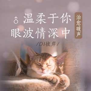 【新歌】合集|《都挺好的》江静&张震岳-放手了，自由了，这样挺好的