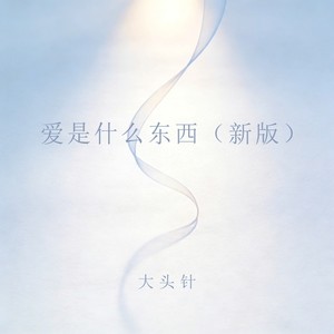 爱是什么东西 (新版)封面