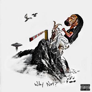 Why Not? (Explicit)