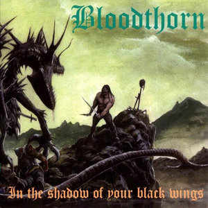 In The Shadow Of Your Black Wings