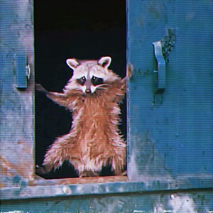 All Will Settle (Explicit)