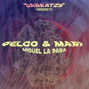 Pelco & Mari (feat. Miguel La Para) [Explicit]