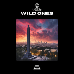 Wild Ones (Extended Mix)