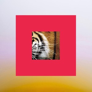 Tigre