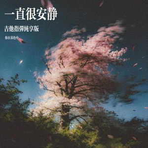 一直很安静 (吉他指弹纯享版)封面