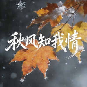 秋风知我情