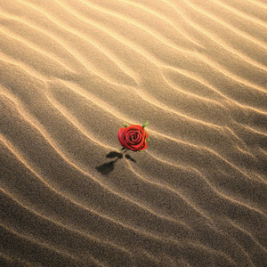 Hope For The Hopeless