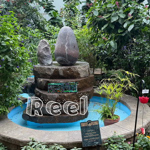 Reel (Explicit)