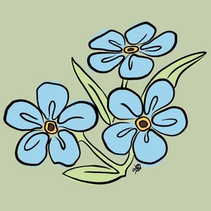 forget-me-not