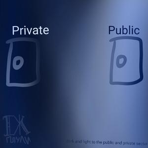 dark and light to the public and private sector