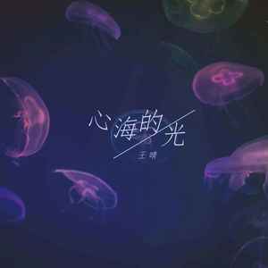 心海的光